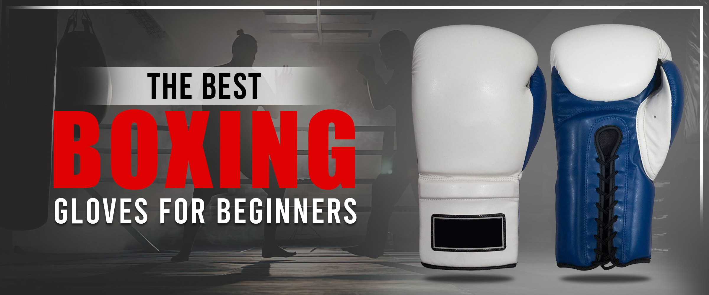 Best Boxing Gloves for Beginners 2023