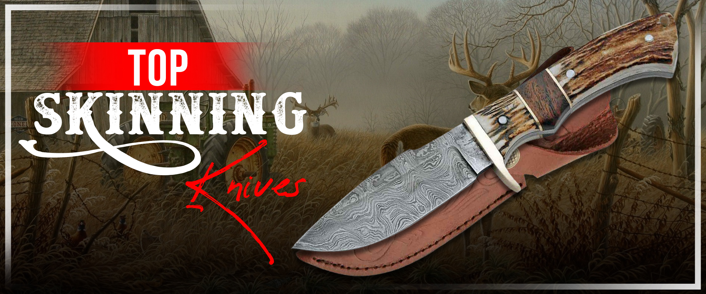 Top 5 Skinning Knives Under 50 Dollars