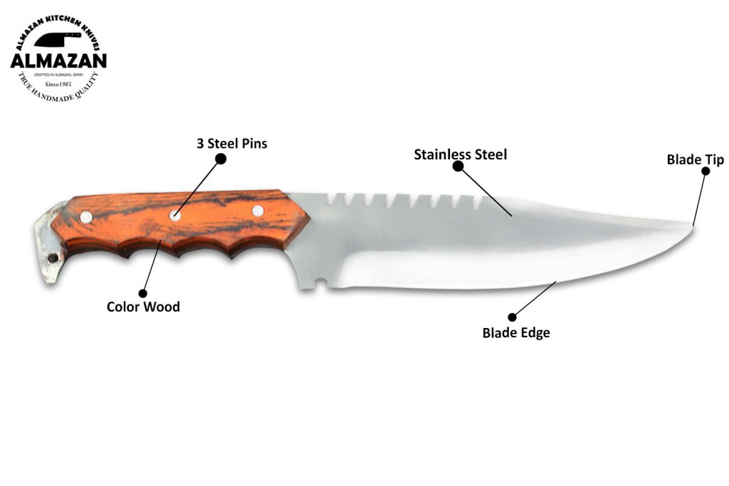 Case Hunting Knife Adventure, Your Trusty Companion Awaits